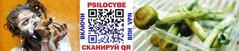 мориарти телеграм  Выкса  Галлюциногенные грибы MAGIC MUSHROOMS 